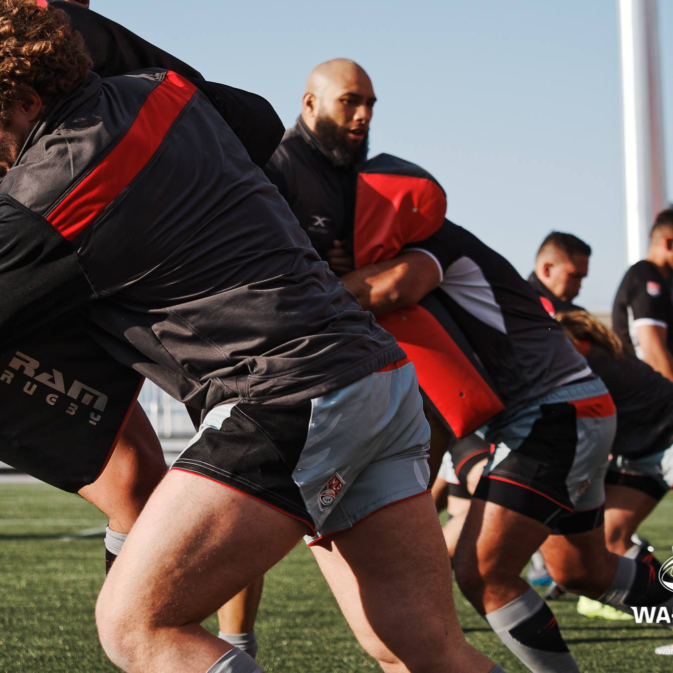 Ram Rugby Small Single Wedge Hit Shield with durable water-resistant PVC and high-density foam, for youth rugby training