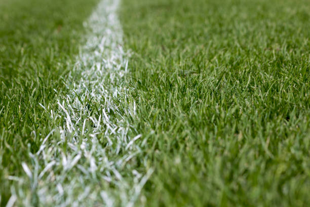 White stripe rugby field markings on green grass showcasing RAM Rugby Line Markers for precise pitch line marking equipment.