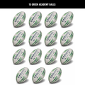 Academy Trainer Ball Bundle - 15 ballen
