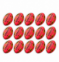 Gripper 2.0 Pro Trainer Neon Pink Ball Bundle - 15 ballen en 1 tas